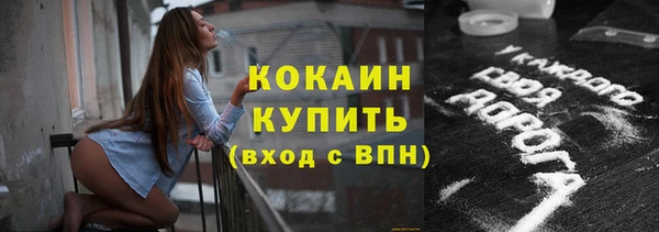 стафф Семилуки
