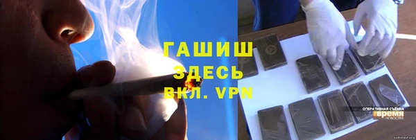 индика Балахна
