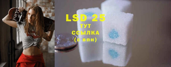 PSILOCYBIN Белокуриха