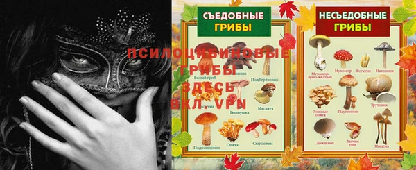 spice Белоозёрский