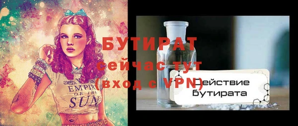 индика Балахна
