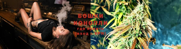 индика Балахна