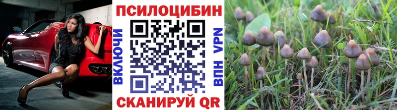 Галлюциногенные грибы MAGIC MUSHROOMS  где можно купить   Никольск 